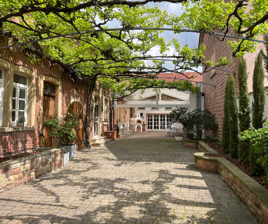 Rebe Deidesheim 