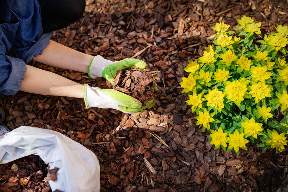 Gardener Mulching Flower Bed — Putnam Valley, NY — B & B Landscaping & Gardening Inc.
