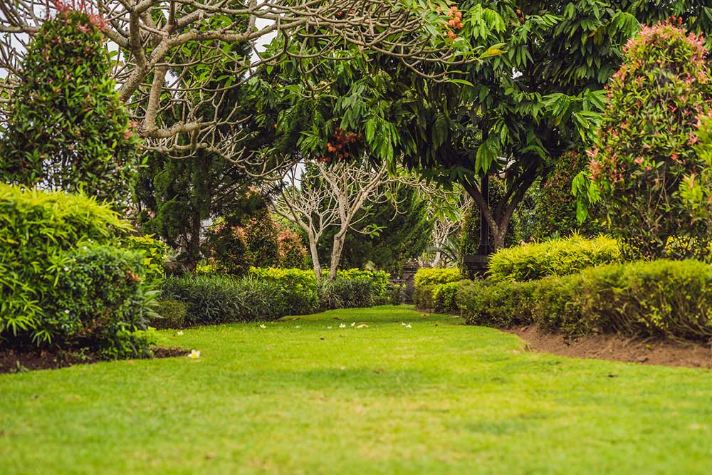 Beautiful Lawn — Putnam Valley, NY — B & B Landscaping & Gardening Inc.