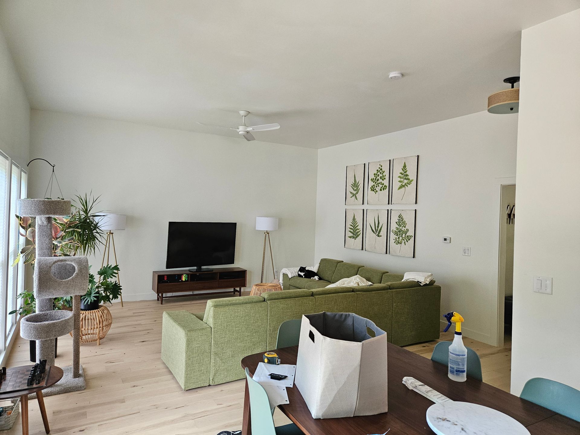 A living room with a green couch and a flat screen tv.