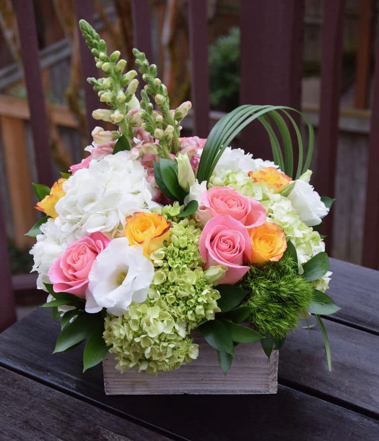Send Flowers