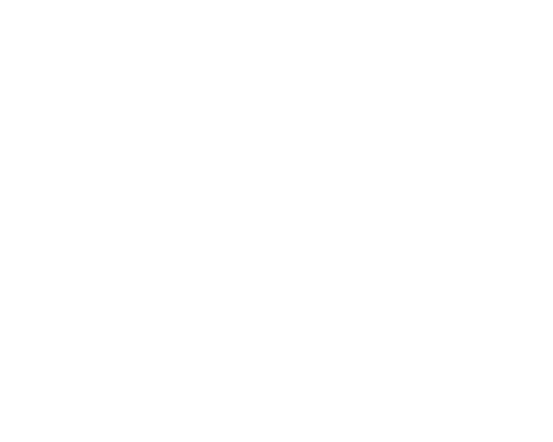 logo-image
