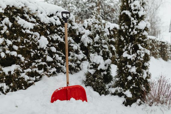 Red snow shovel standing upright in deep snow before snow-covered bushes.
