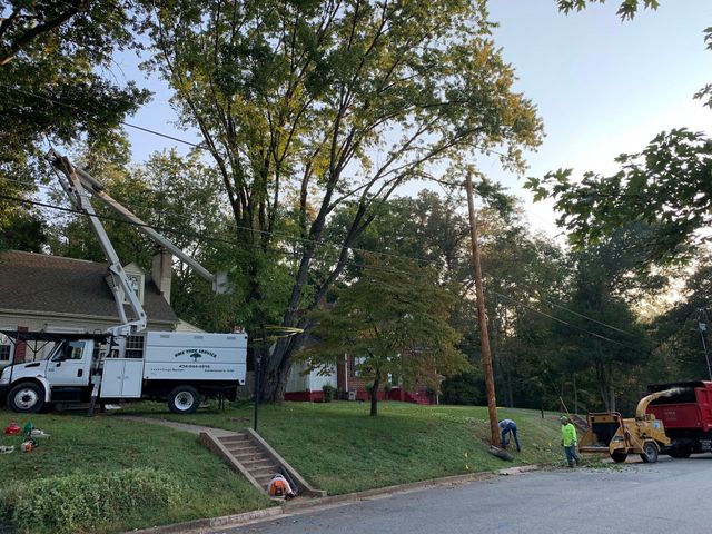 Utility crew working beside a white truck and tree in a grassy neighborhood yard, with a red car nearby