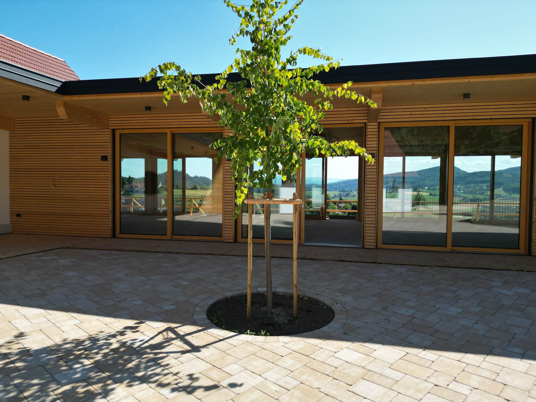 Baum in einem gepflasterten Innenhof vor einem modernen Gebäude mit Glastüren, sonniger Tag, Berge im Hintergrund.