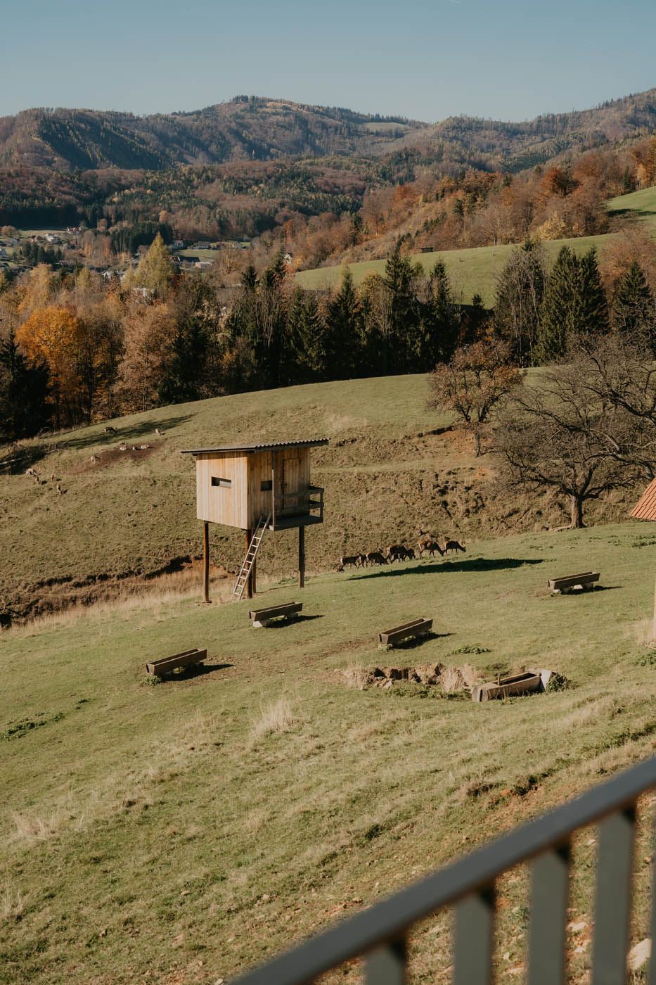 Eine auf Stelzen stehende Holzkonstruktion auf einer grasbewachsenen Wiese, mit Picknicktischen, sanften Hügeln und einem Wald im Hintergrund unter blauem Himmel.