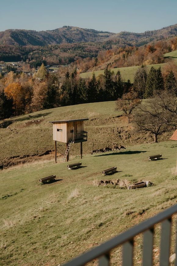 Eine auf Stelzen stehende Holzkonstruktion auf einer grasbewachsenen Wiese, mit Picknicktischen, sanften Hügeln und einem Wald im Hintergrund unter blauem Himmel.