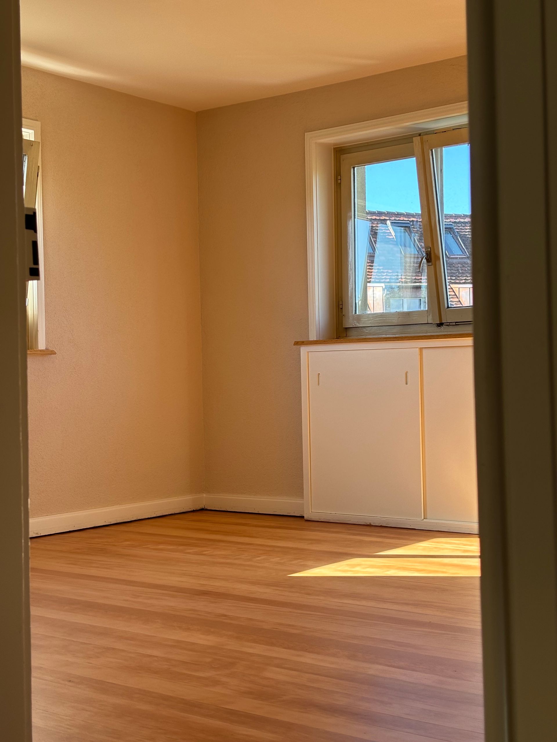 altbau sanierung