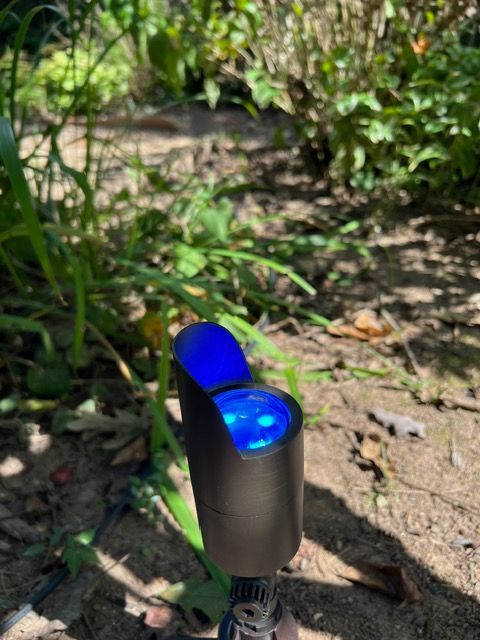 A blue light is sitting on the ground in a garden.