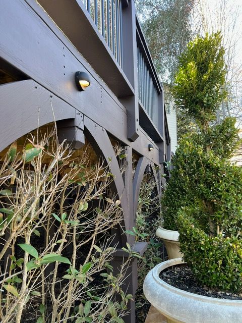 A potted plant sits in front of a wooden deck
