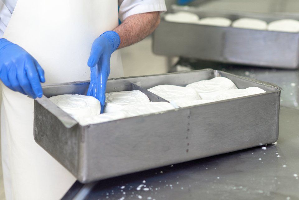 produzione di formaggio