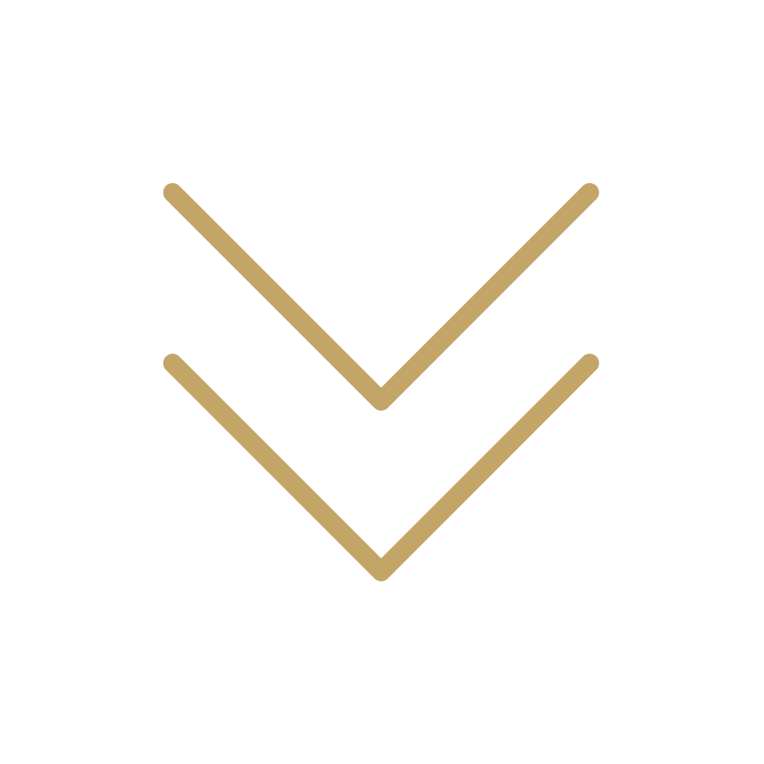 Double down arrow icon