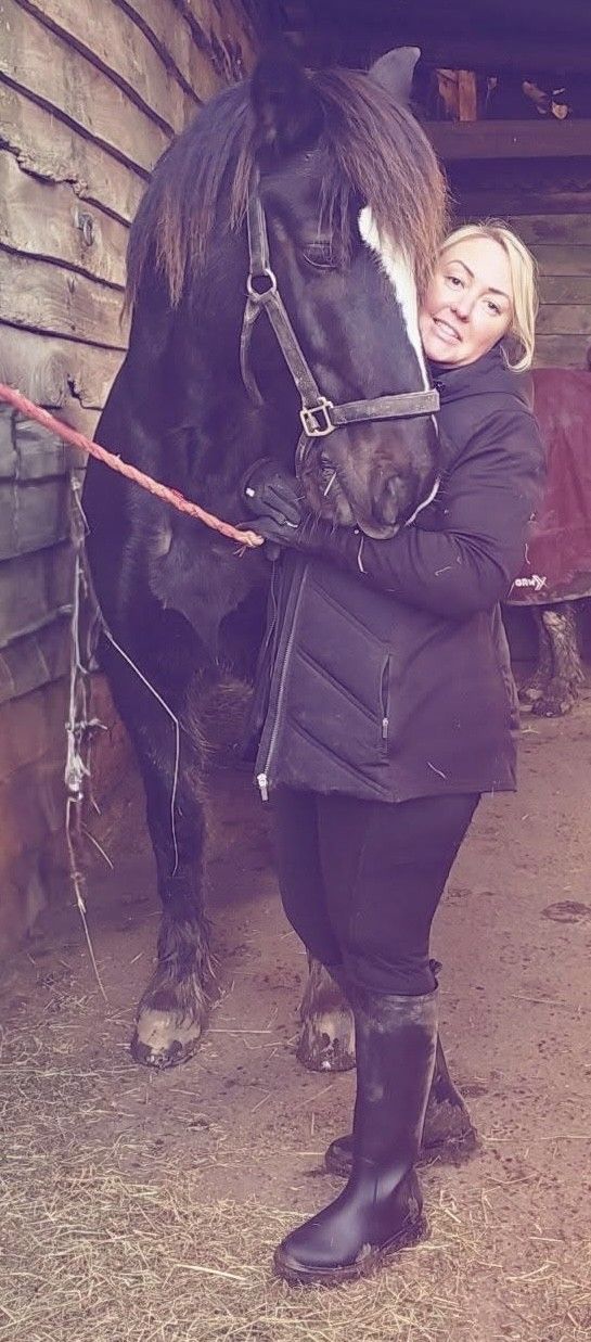 Horse riding services - Sudbury, Suffolk - Twinstead Riding School  - Horses