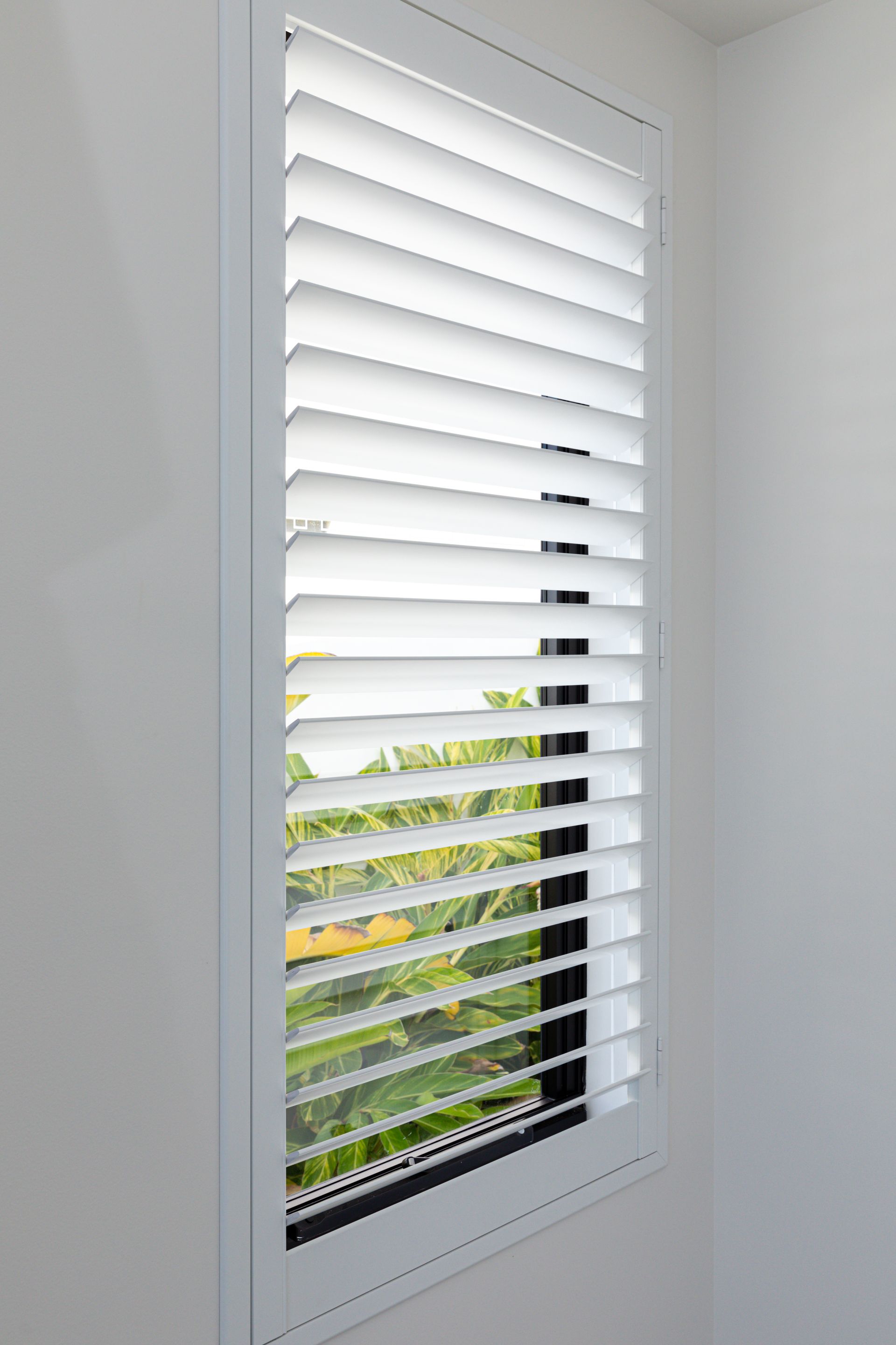 Plantation Shutters Daisy Hill