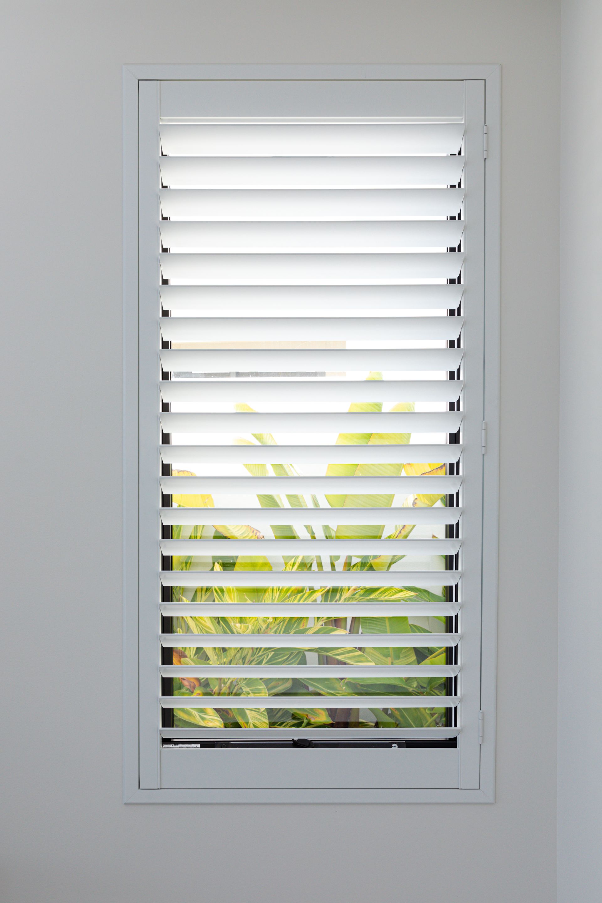 Plantation Shutters brisbane