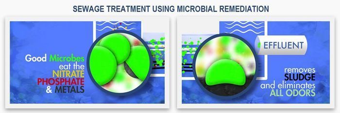 Sewage tratment Sewage treatment