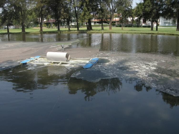 A polluted pond