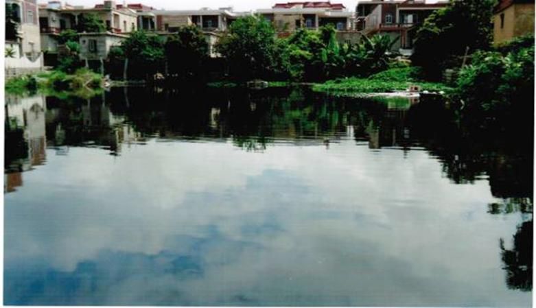A tranquil lake