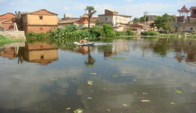 Murky pond in front of a village