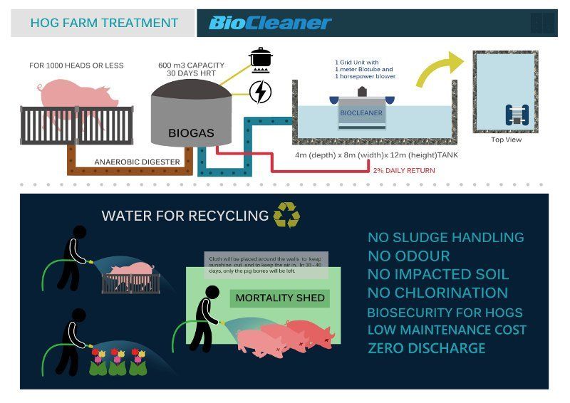 Hog farm treatment