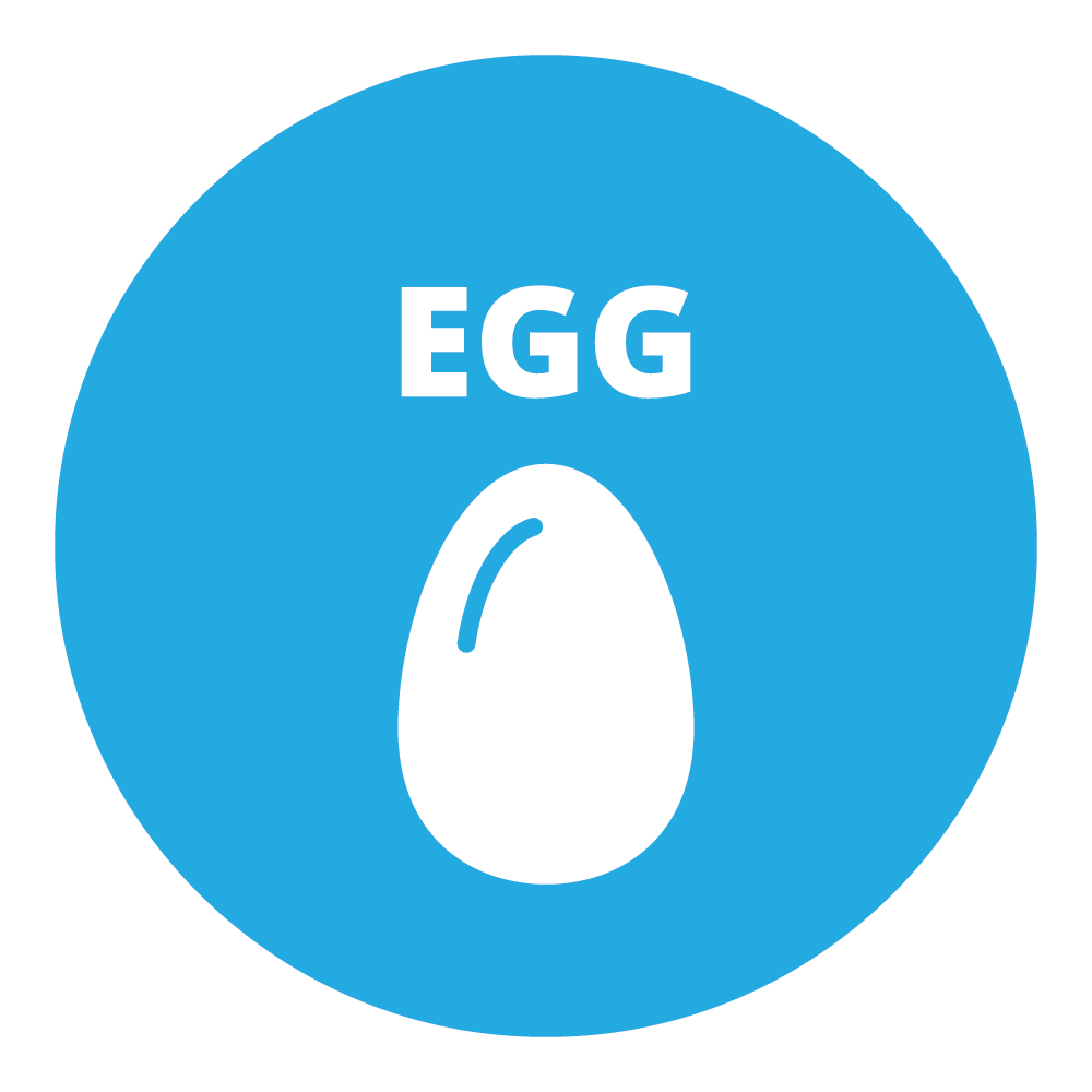 icon allergens egg