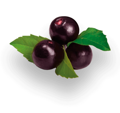 Grape