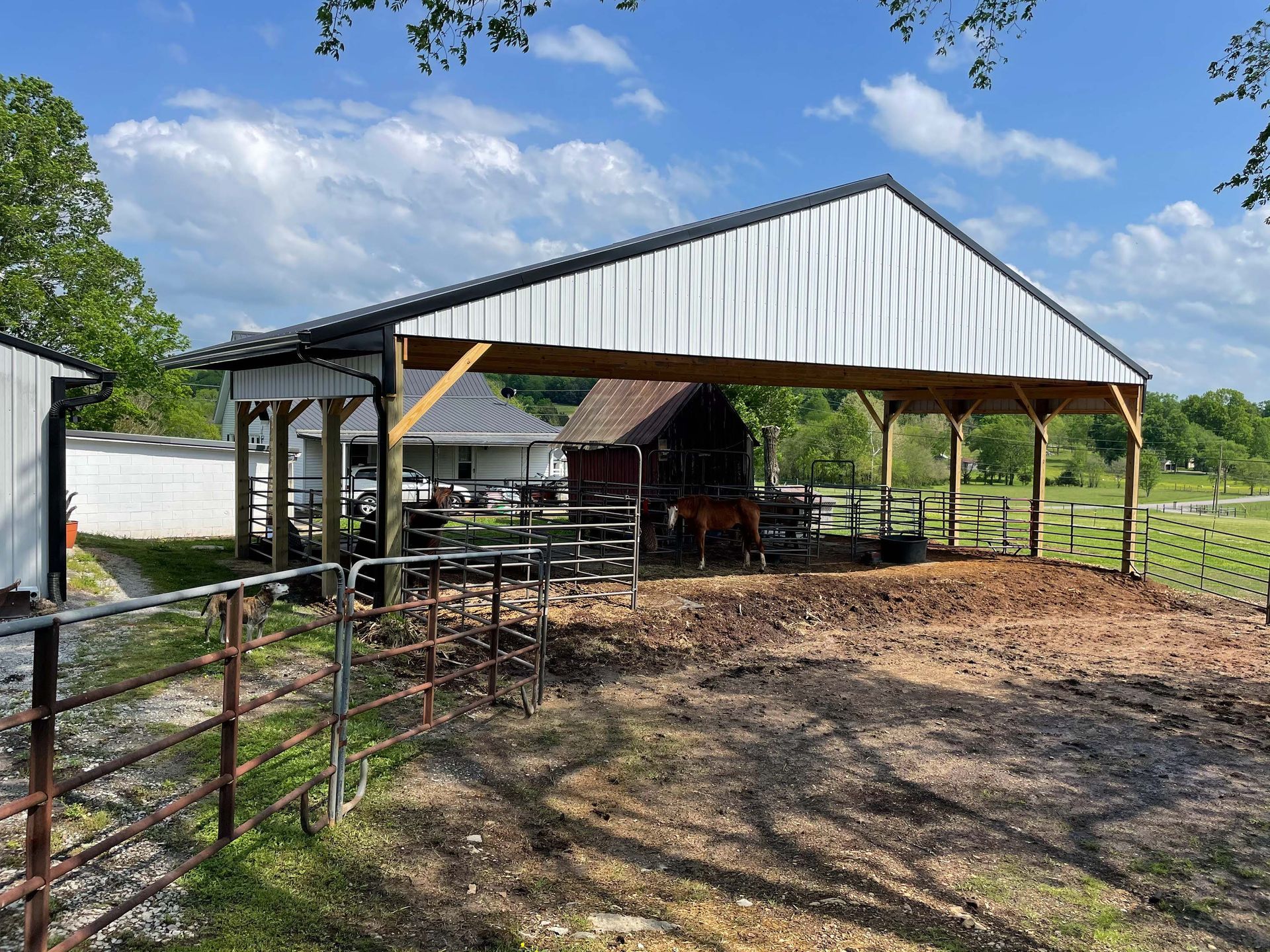 A horse is standing under a covered shelter in a field.