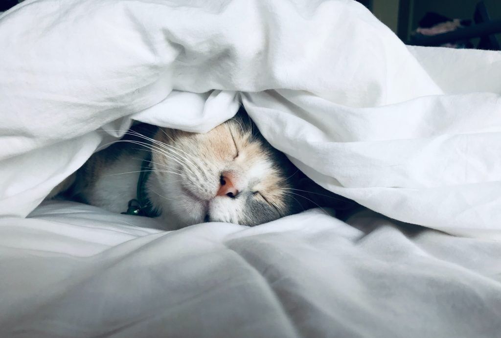 sleep-rest-recovery-cold-flu-prevention