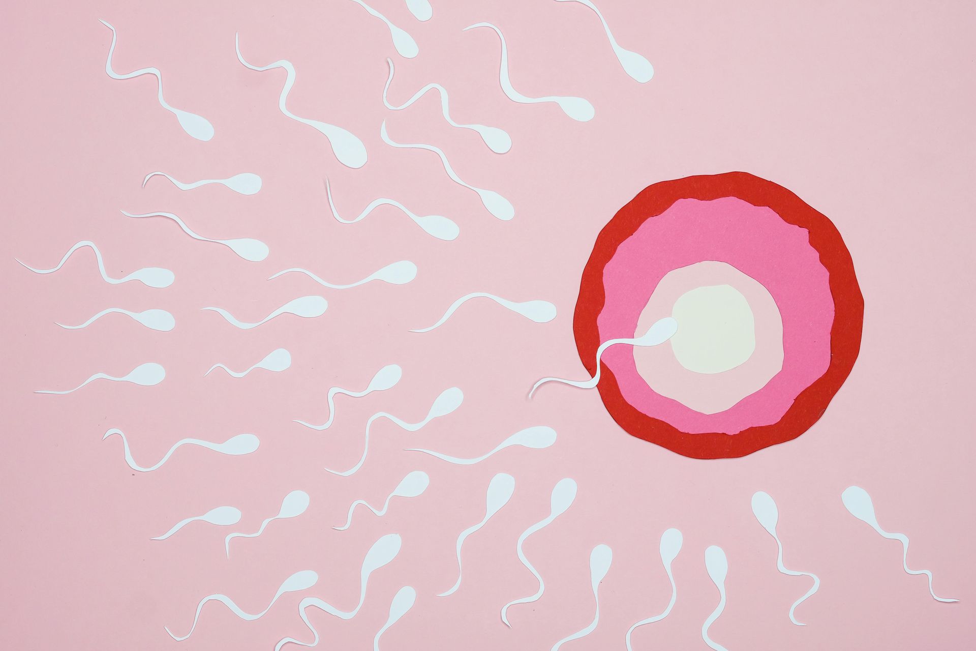 holistic sperm health