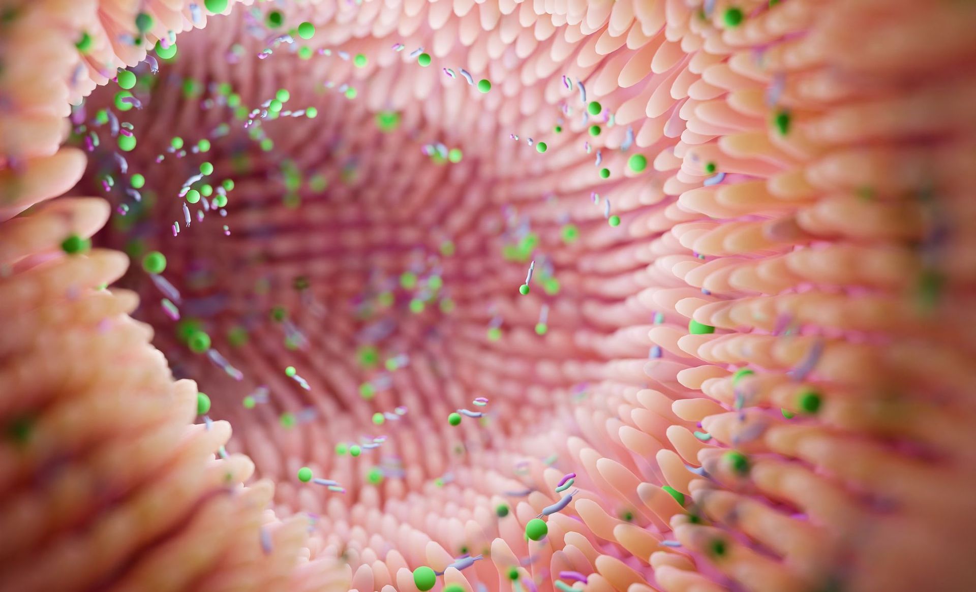 gut bacteria microbiome health