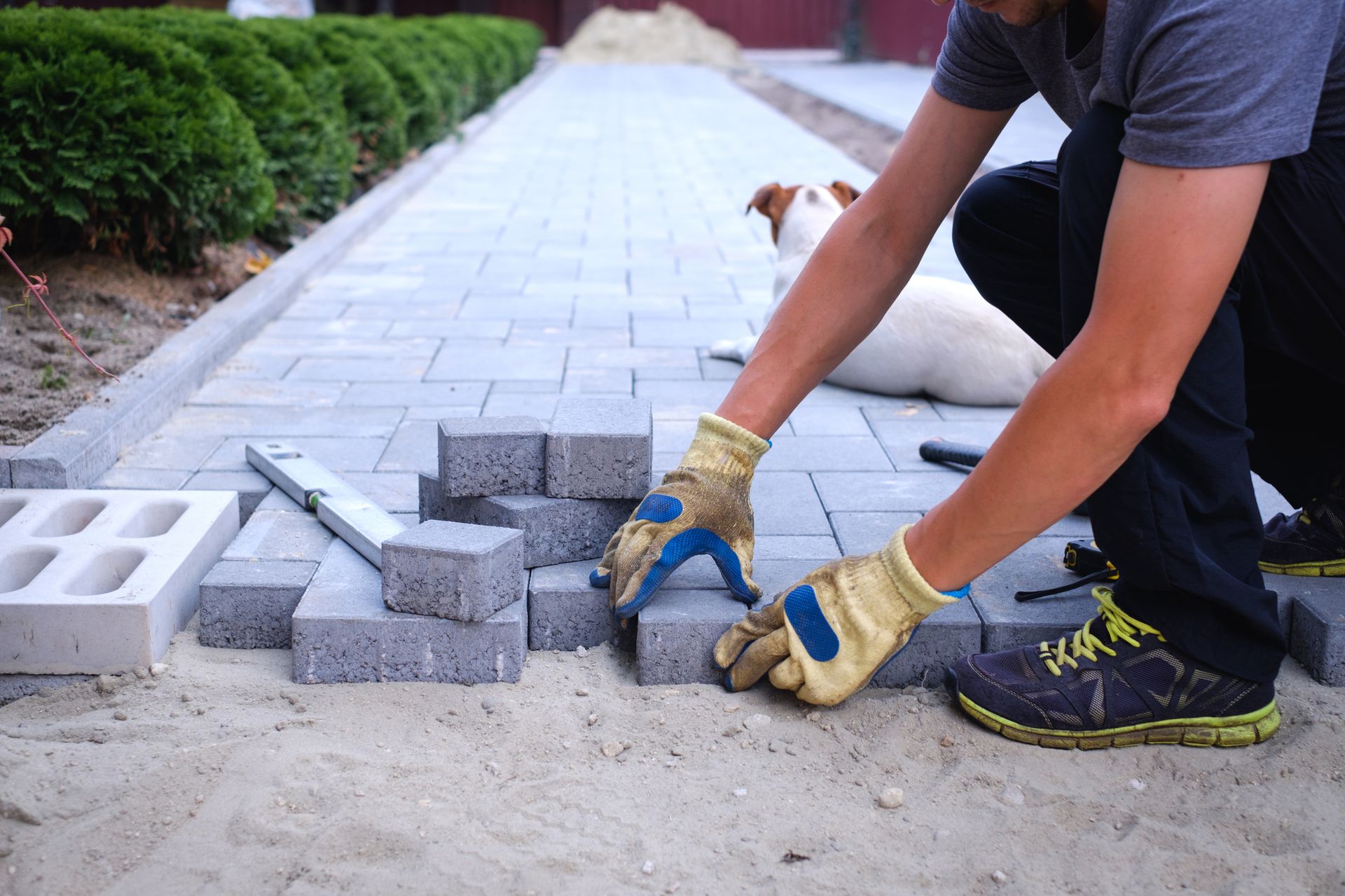Person laying gray pavers in sandy soil, dog watching in backyard.