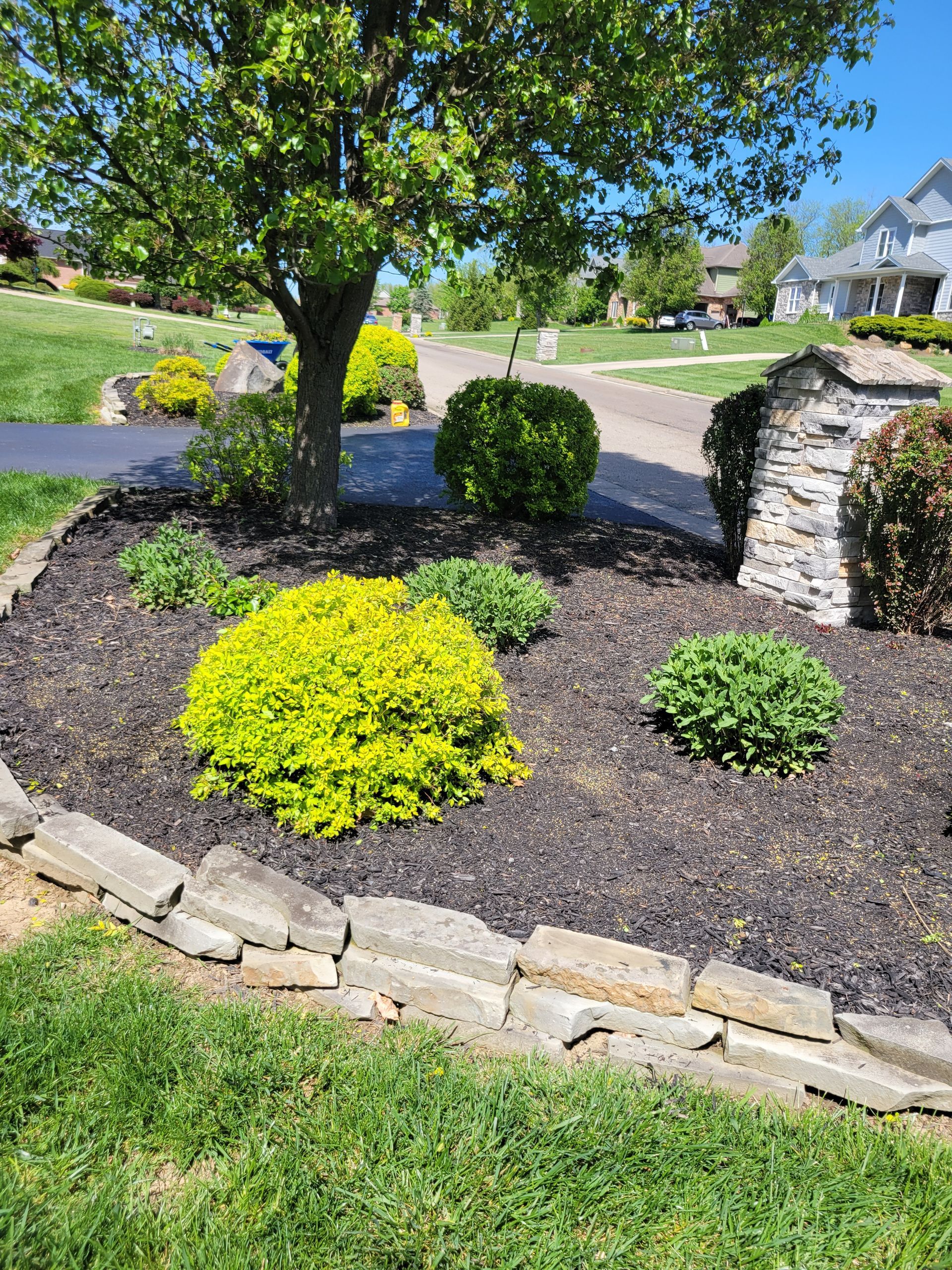 A landscaped garden bed with green and yellow bushes, dark mulch, and stone edging. A tree is in the background.