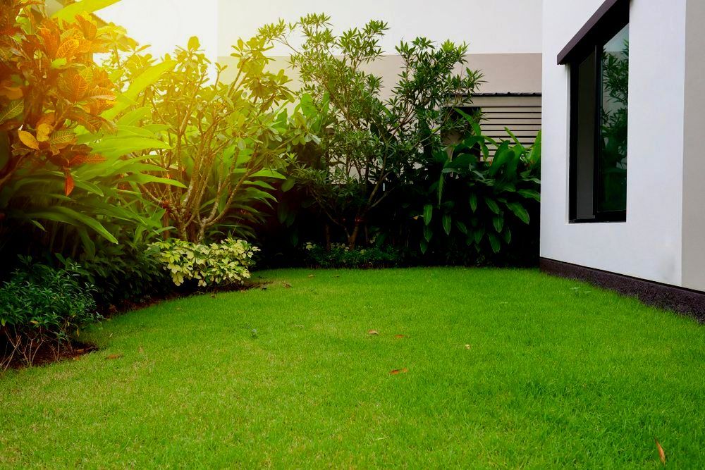 A White House With A Large Lawn In Front Of It — Out On A Limb Tree and Garden Care In Narooma, NSW