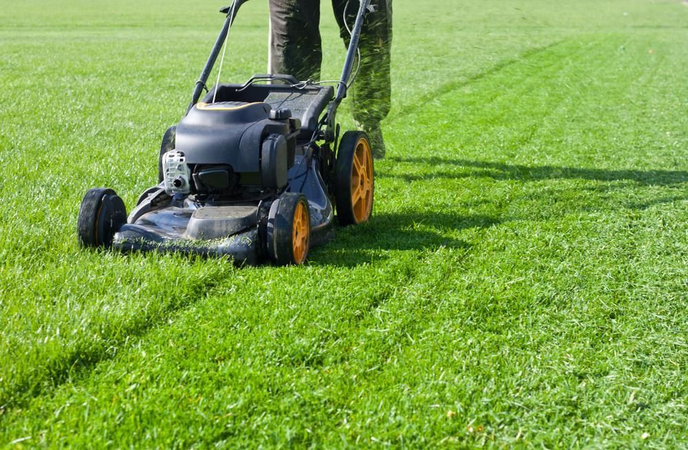 A Person Is Mowing A Lush Green Lawn With A Lawn Mower — Out On A Limb Tree and Garden Care In Broulee, NSW