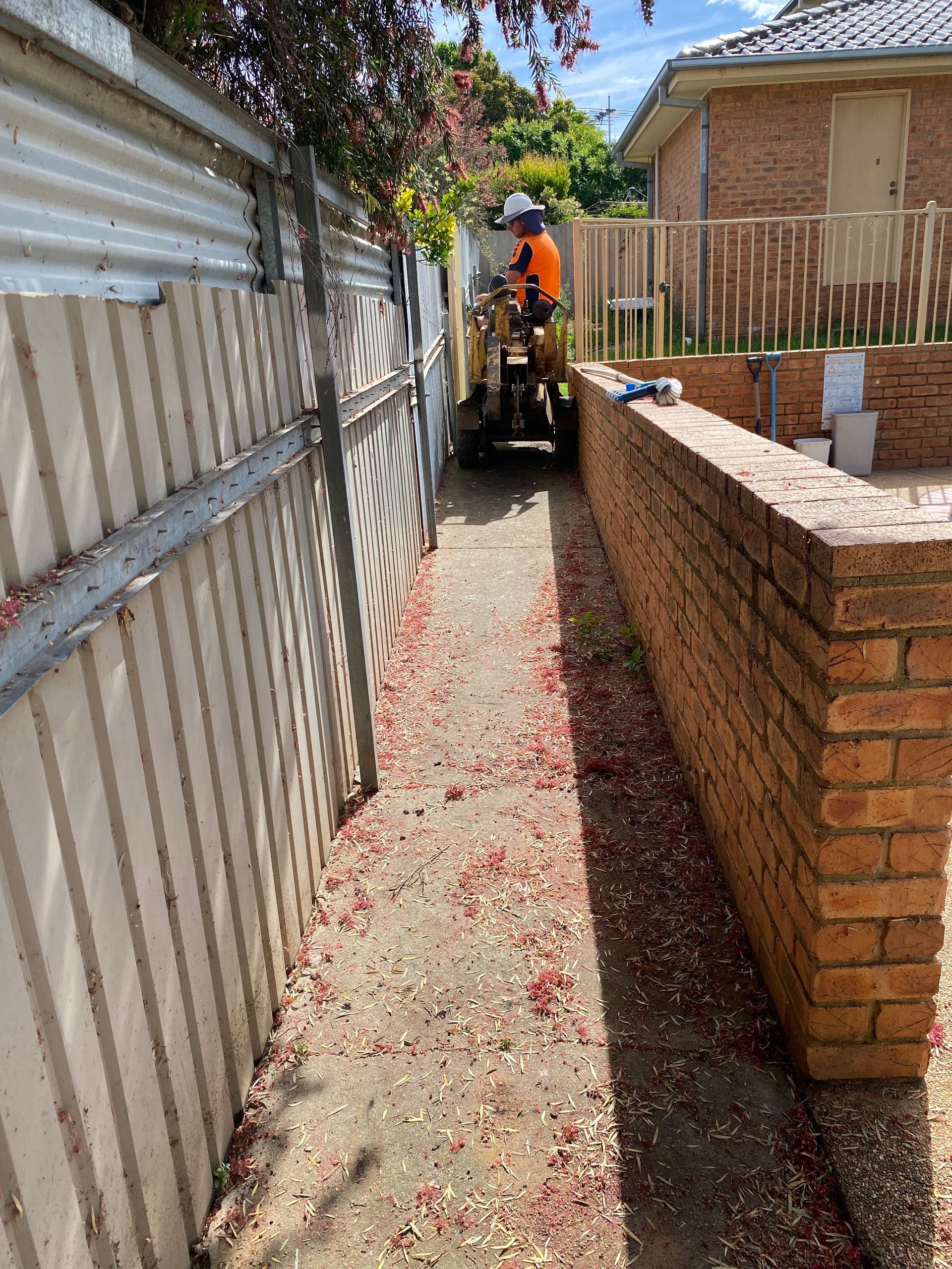 A Person Wearing Gloves Is Picking Dandelions From The Grass — Out On A Limb Tree and Garden Care In Broulee, NSW