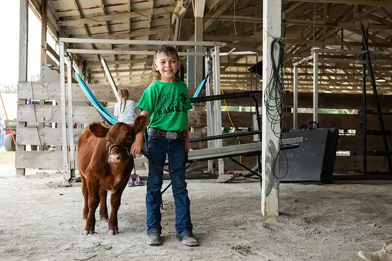 Handler leads a white pig in a livestock show ring with spectators watching nearby.