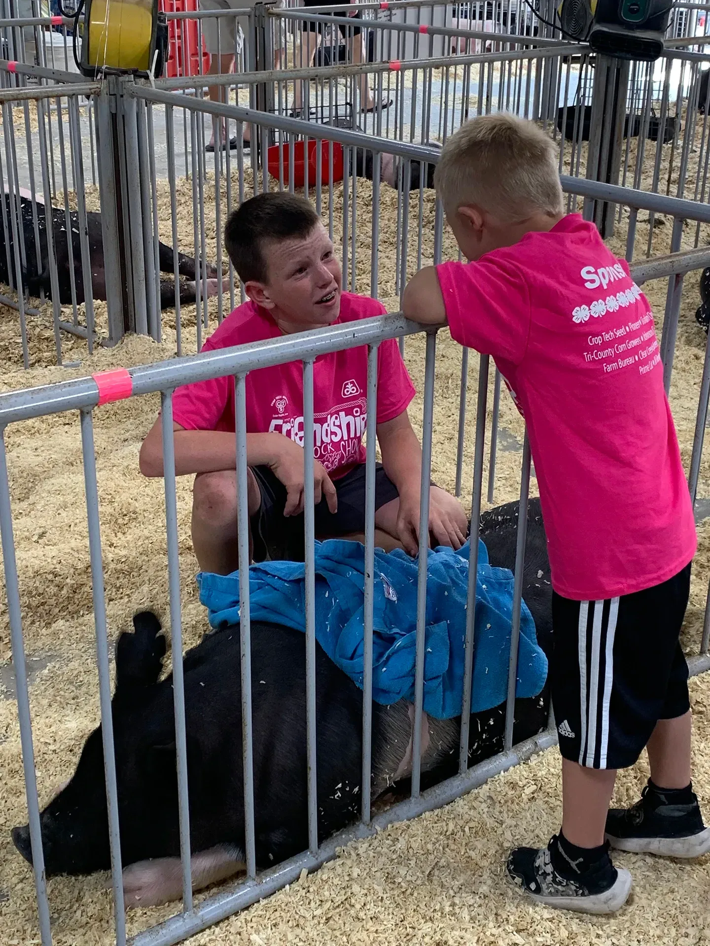 Two children in pink shirts at a fenced petting zoo, one crouching beside a black animal on blue tarp.