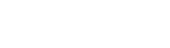 Ingegnere - Vincenzo di Marzio