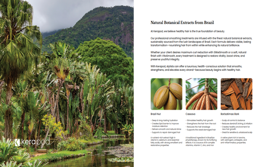 Rainforest landscape with palm trees, mountain, and brochure text about tropical plants and travels