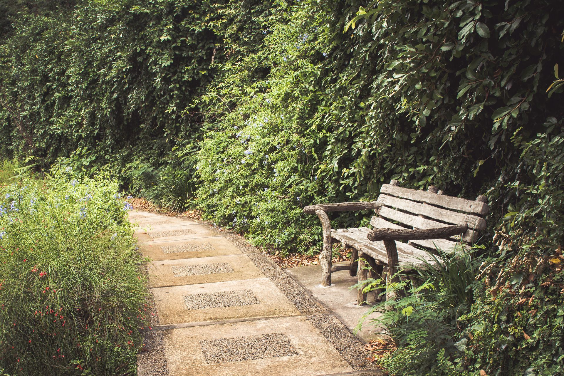 Garden path with a wooden bench beside lush green hedges and trees