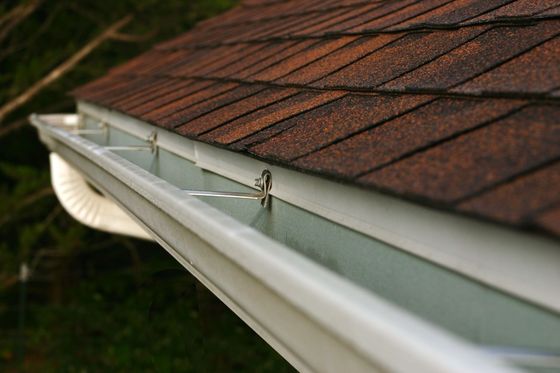 Close-up of a rooftop gutter under red-brown shingles, with a small lizard perched on the edge