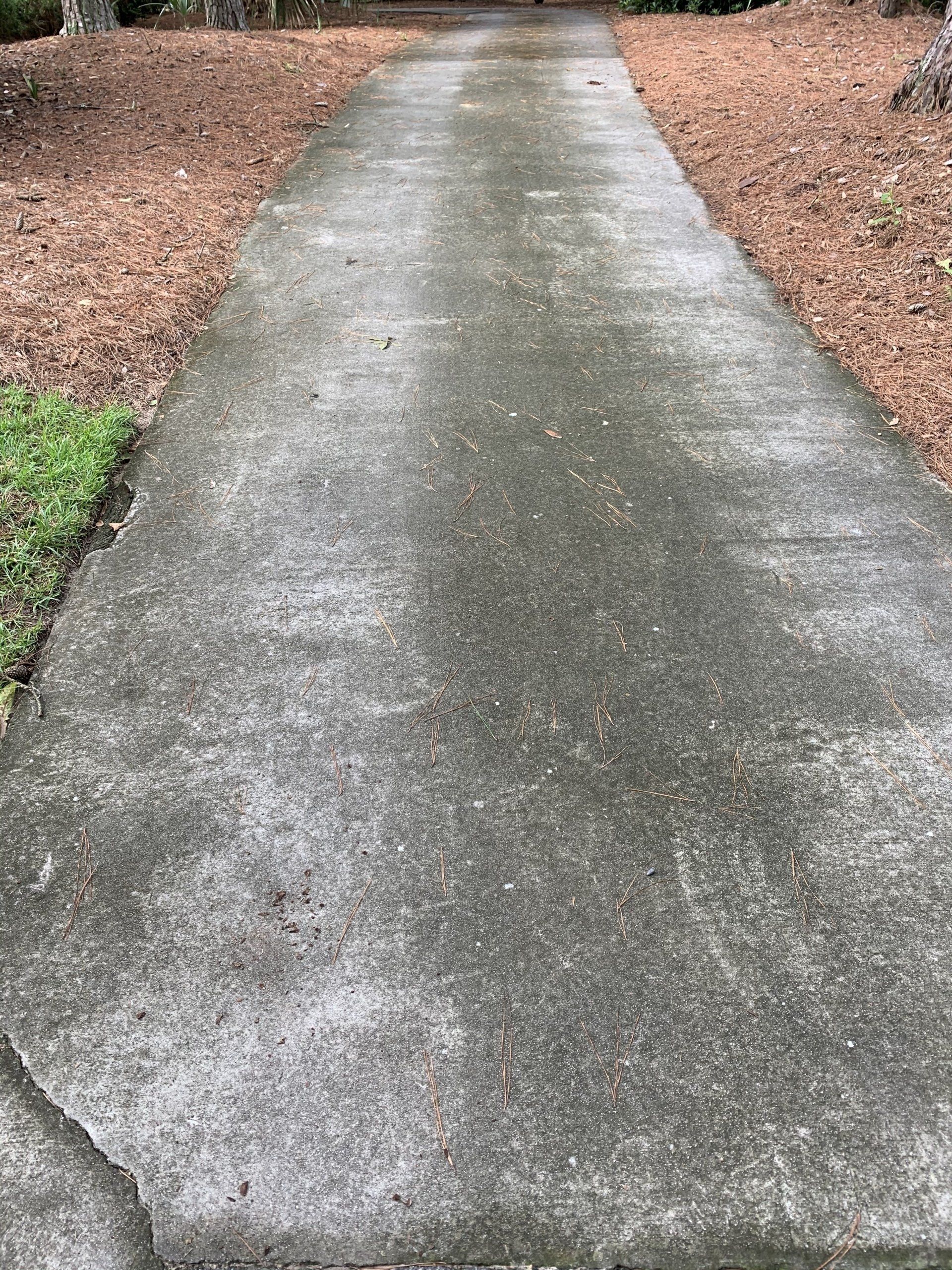Southbridge Savannah Skidaway pressure power window washing  dutch island tybee island wilmington island whitemarsh island