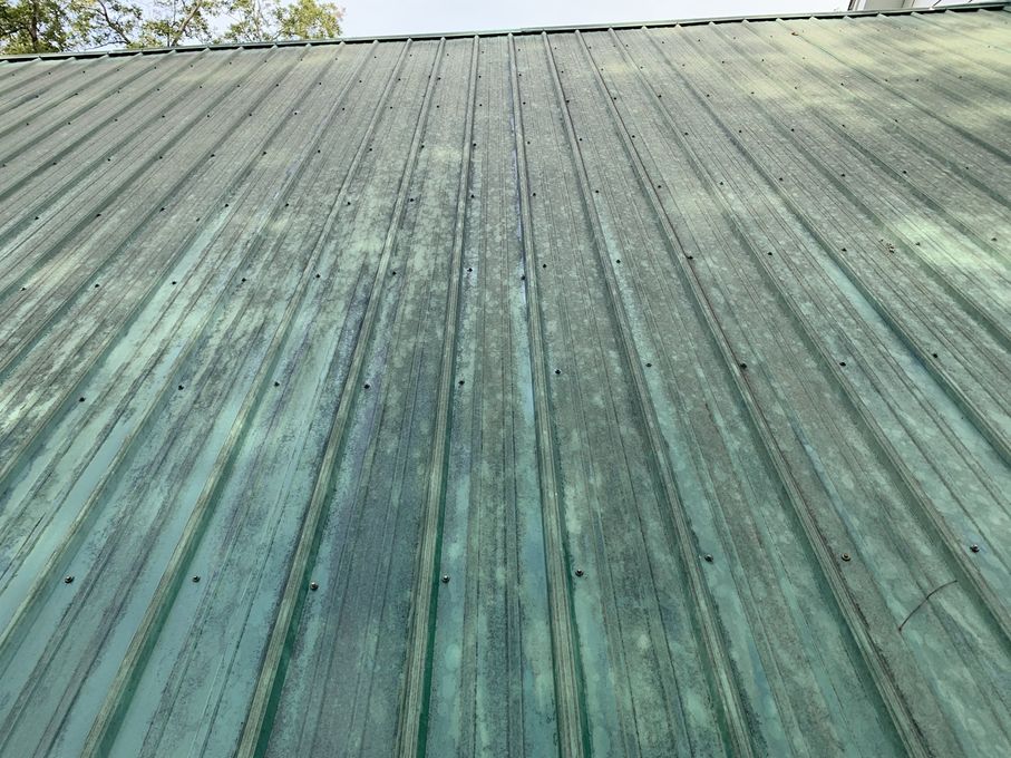 Richmond Hill Roof Wash