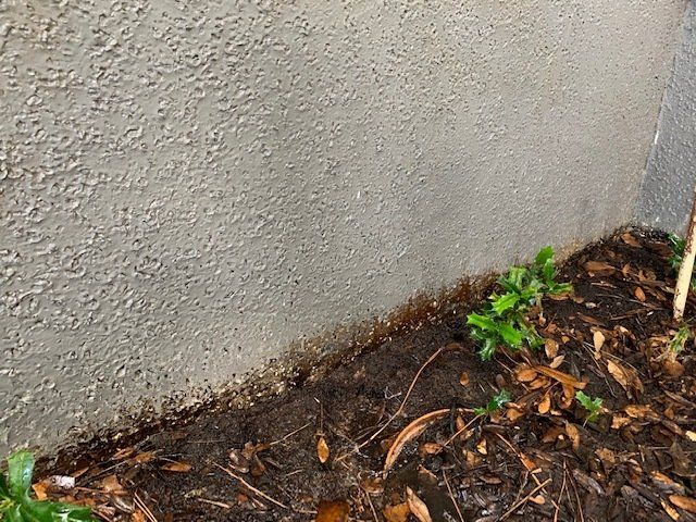 Savannah Rust Removal Wash