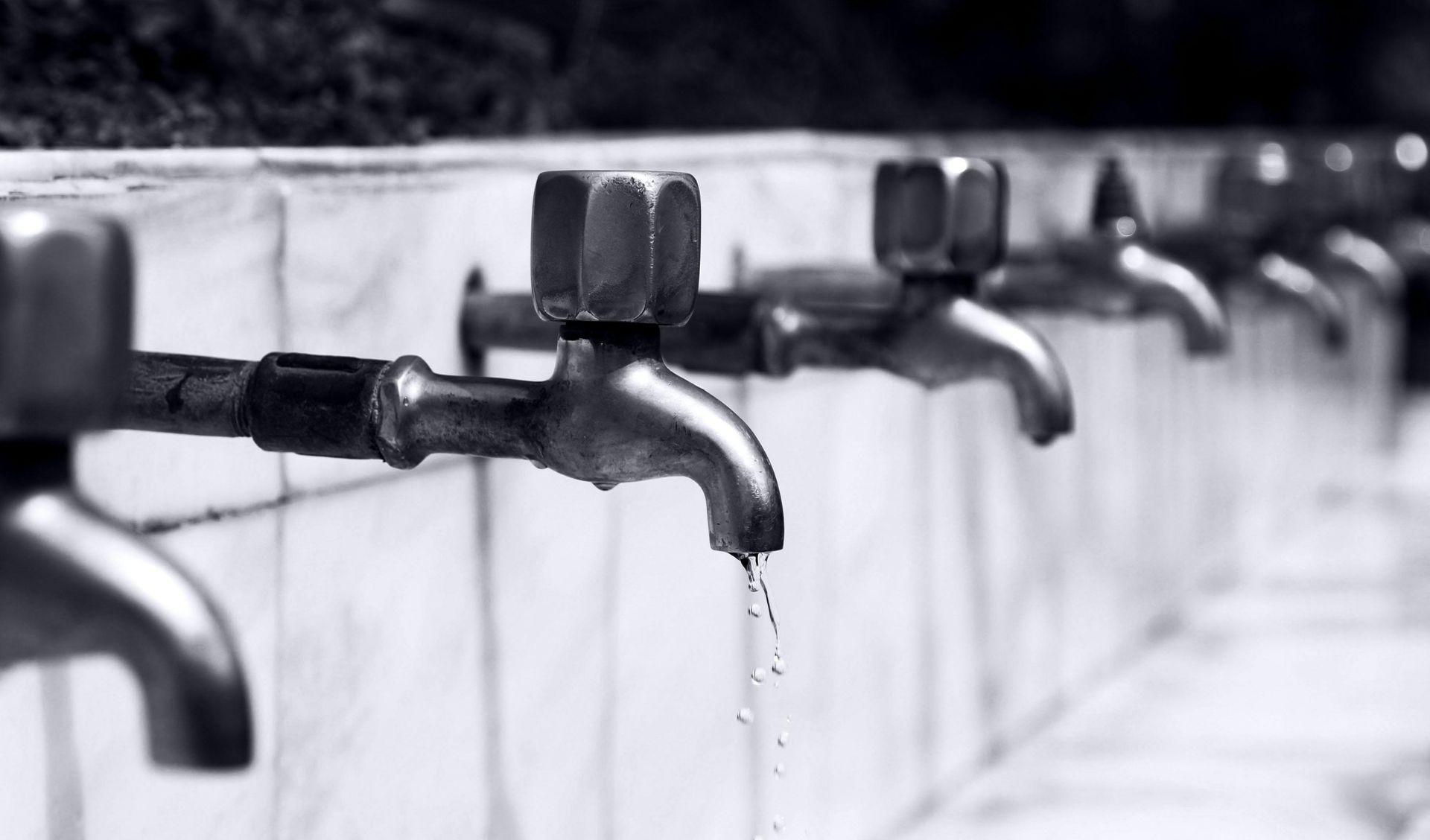 A black and white photo of a row of water faucets.