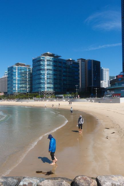 Coastal walk in Busan for gentle recovery after varicose vein treatment at LEDAS