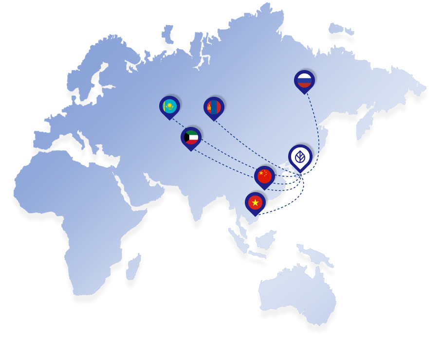 World map of the LEDAS international vein care network serving patients who choose Korea