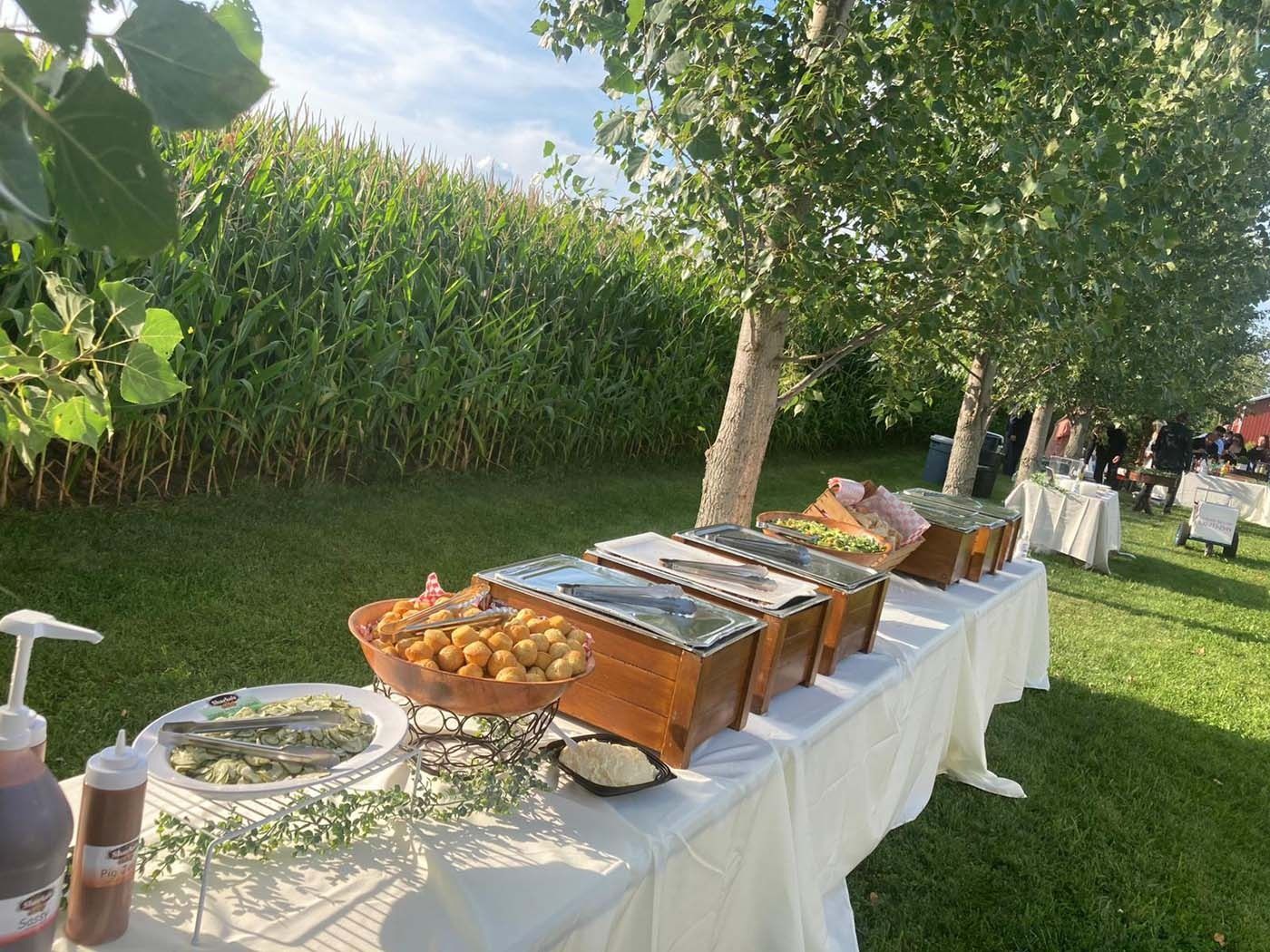 Outdoor buffet table with covered dishes, fruit, and drinks on a grassy lawn under a tree