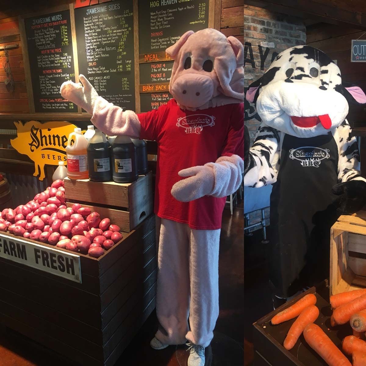 Costumed pig and cat mascots in a farm produce display with onions and carrots