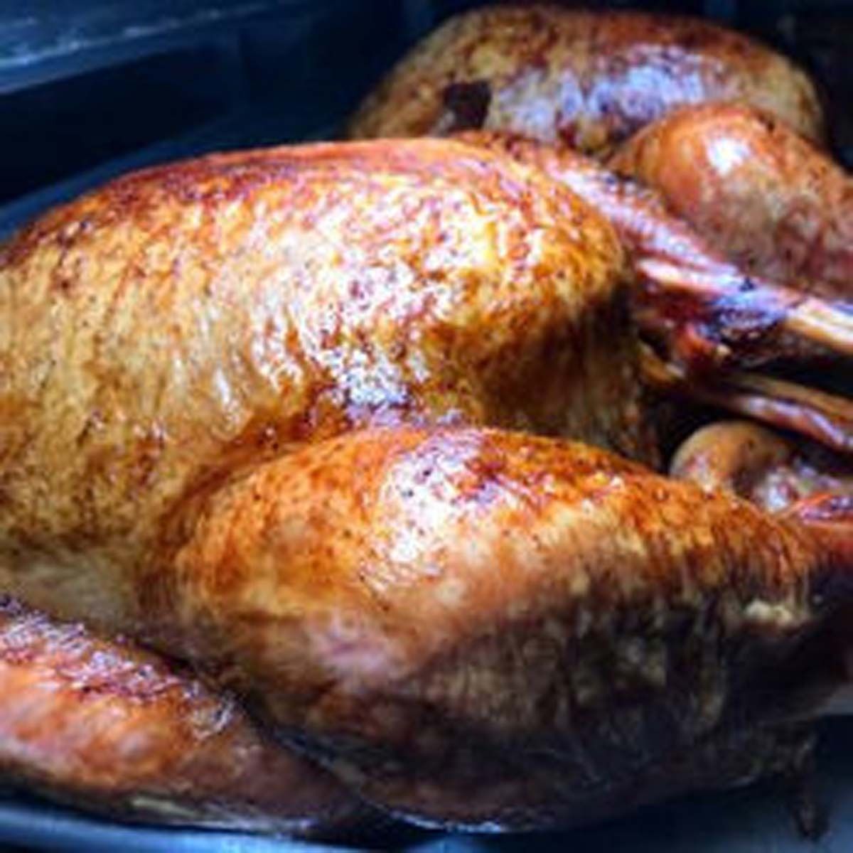 Roasted whole turkey with golden-brown skin on a baking tray